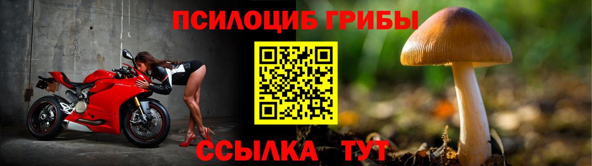 Псилоцибиновые грибы мицелий Топки